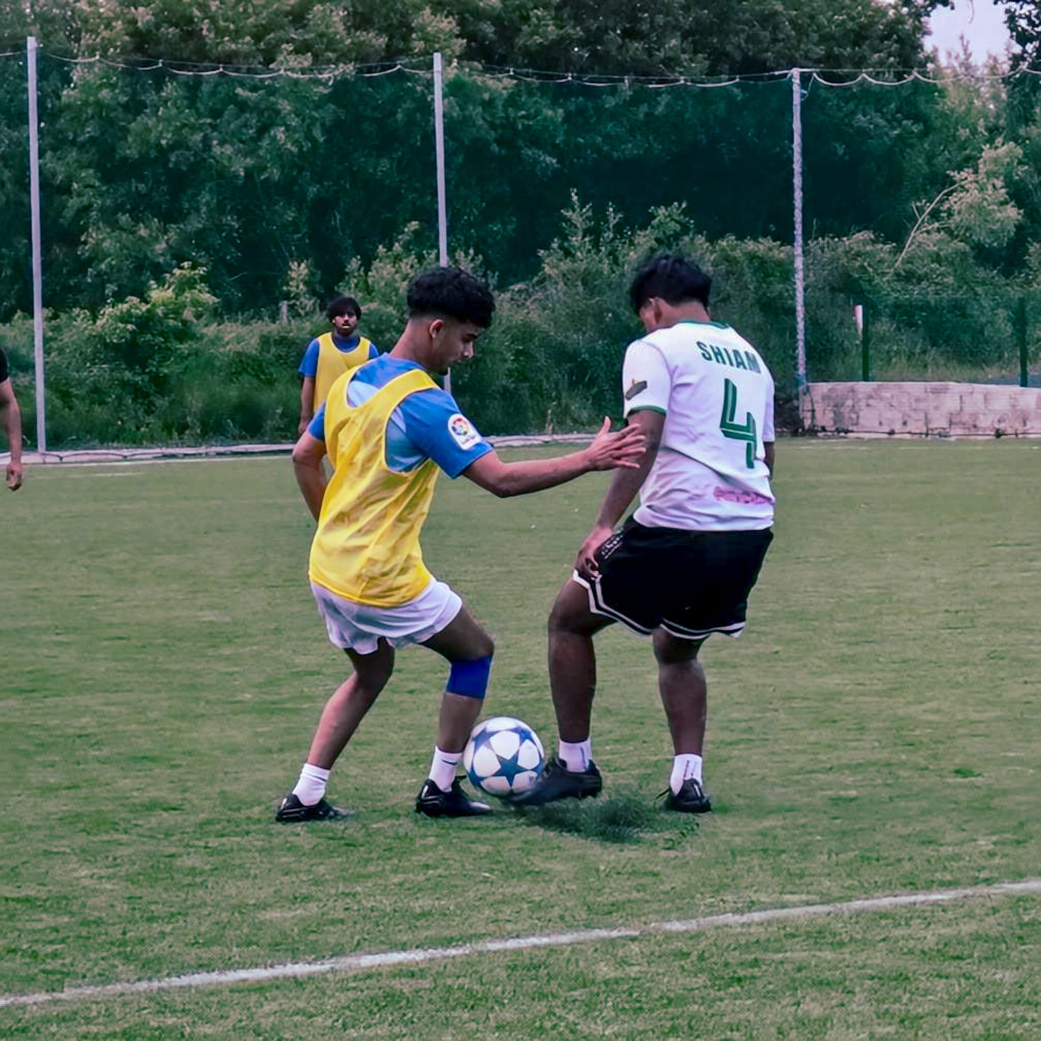 Sport