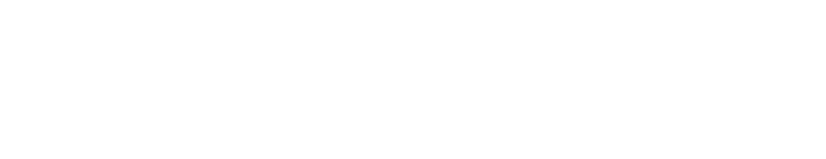 RS Media